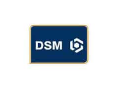 DSM-Plastics-logo_2